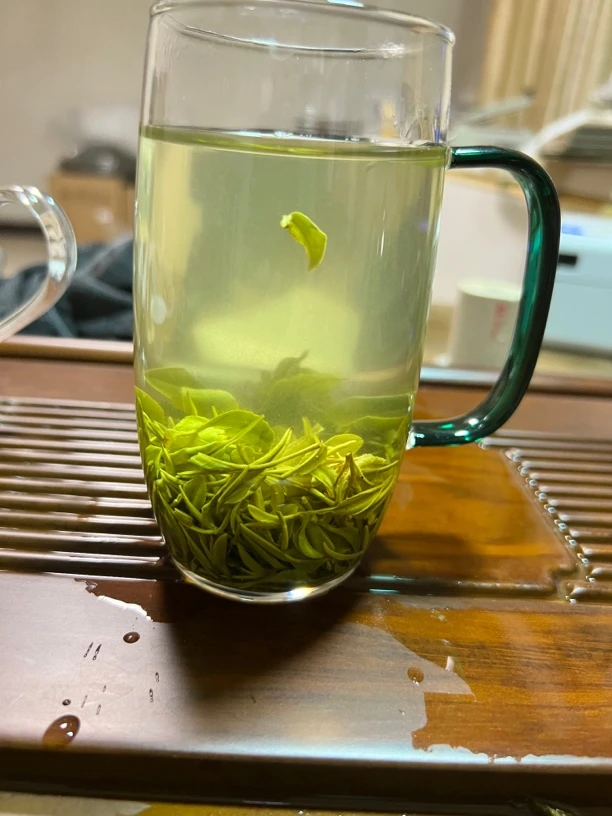 谢掌门信阳毛尖雨前小芽叶茶香浓郁绵顺爽口