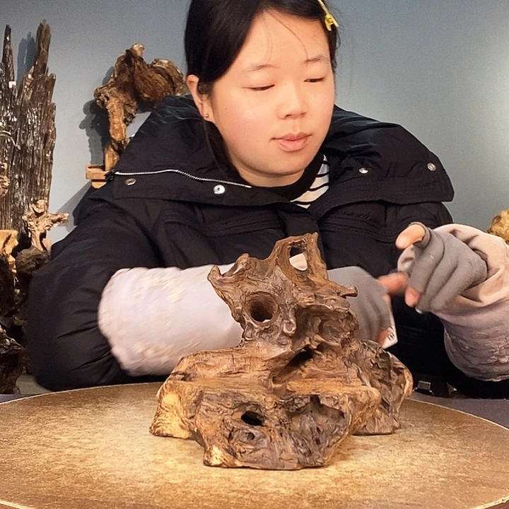 茶盏山**呆708株木的随行的根艺