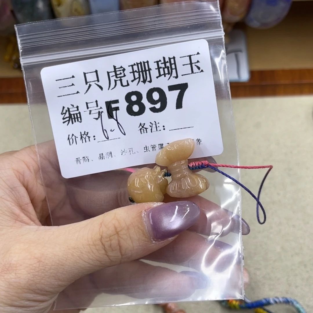 彩***鱼未镶嵌h硅化珊瑚（珊瑚玉）