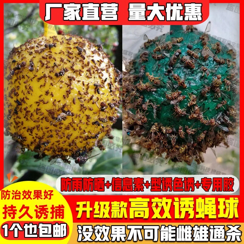 【升级款】粘虫球丝瓜果实蝇贴诱蝇球针蜂马蜂色引诱剂果蝇诱捕器双
