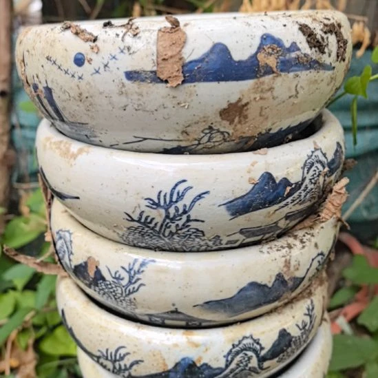 石***3青花瓷器水仙花盆5个