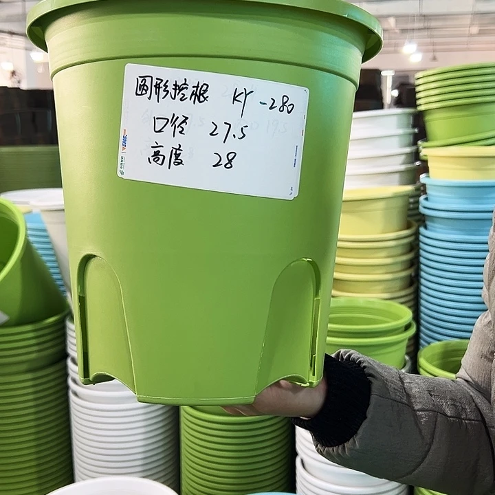 正品圆控口27.5高28果绿无托5只