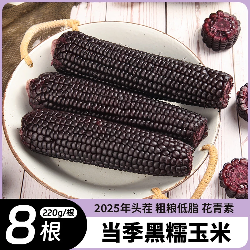山西忻州黑玉米8根 单根220g 黑糯玉米加热即食玉米代餐玉米棒