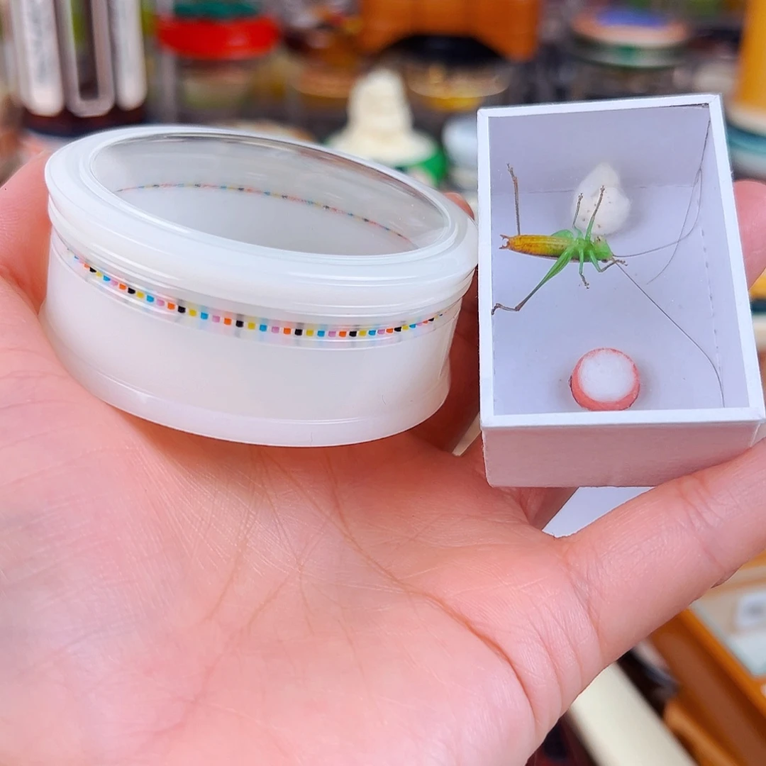 彩虹窗万体配糖果