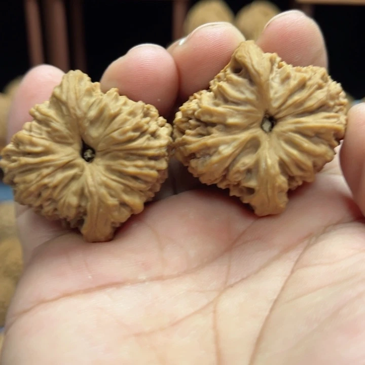 完全开放让****！南疆石