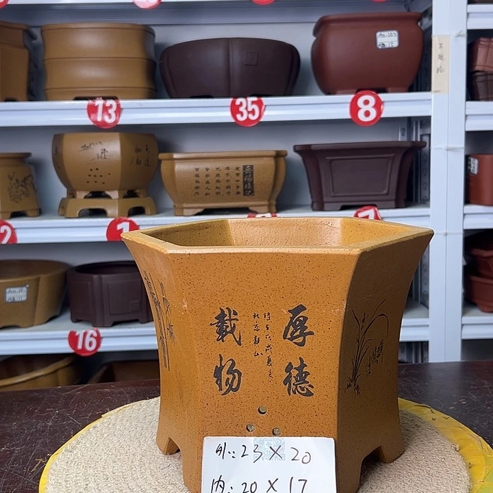 紫砂花盆你在一起