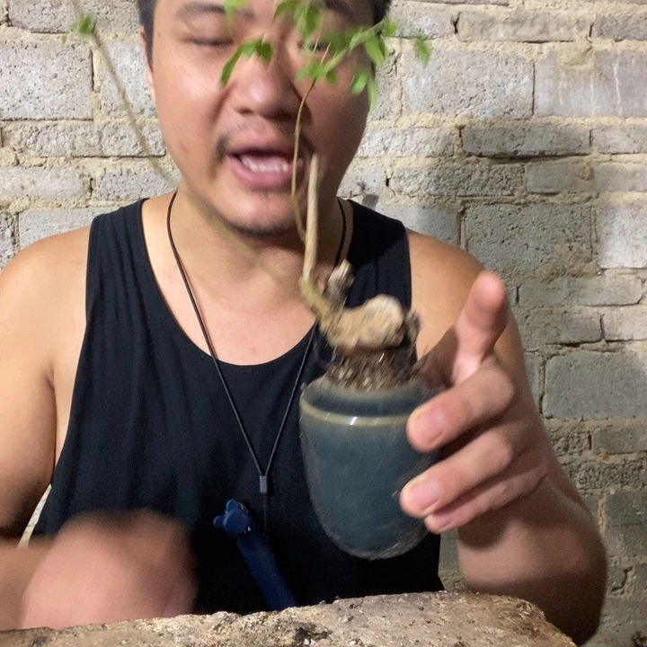 退款拉黑一物一拍131