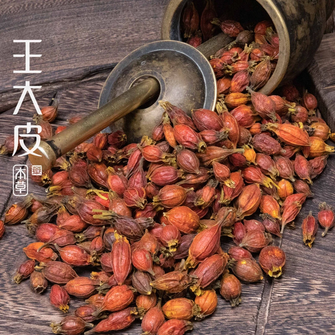 野生栀子（因违规每天限100单请加购物车一起付）买不了加购明天付