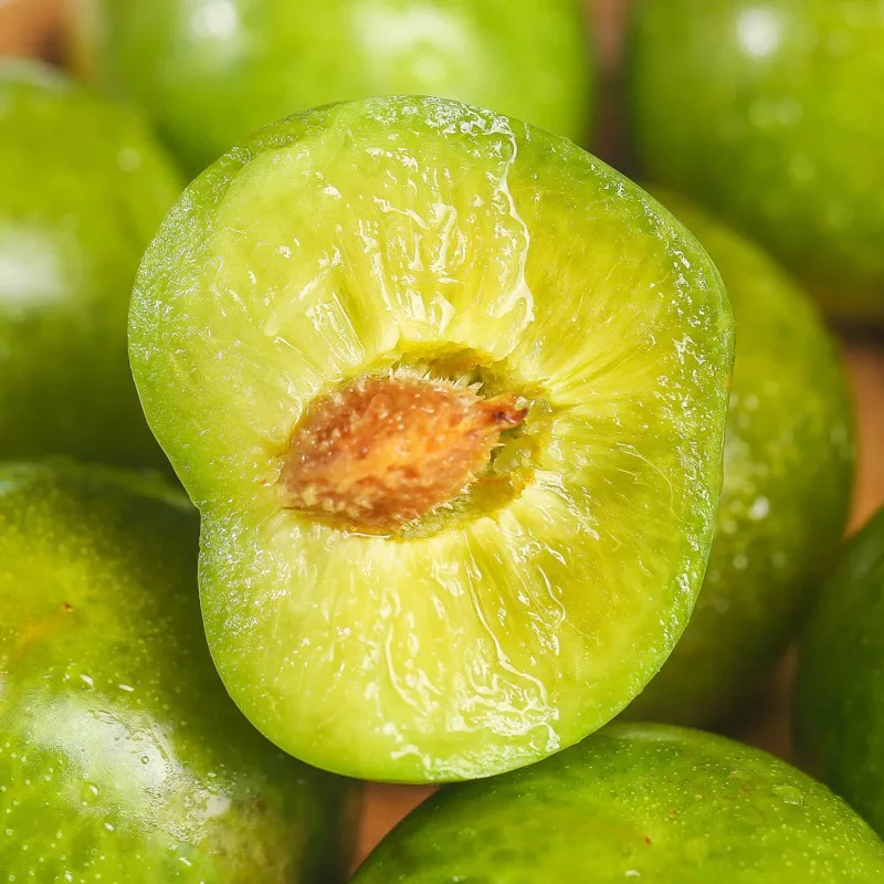 【北京密云】现摘现发李子 树熟李子应季新鲜水果(2斤送1斤)北京市