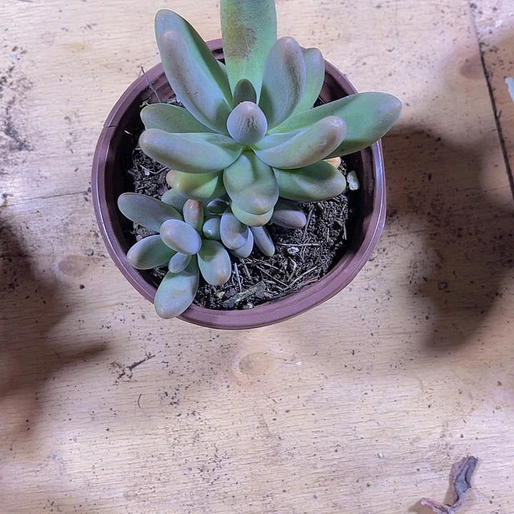 晨****g000000000000058