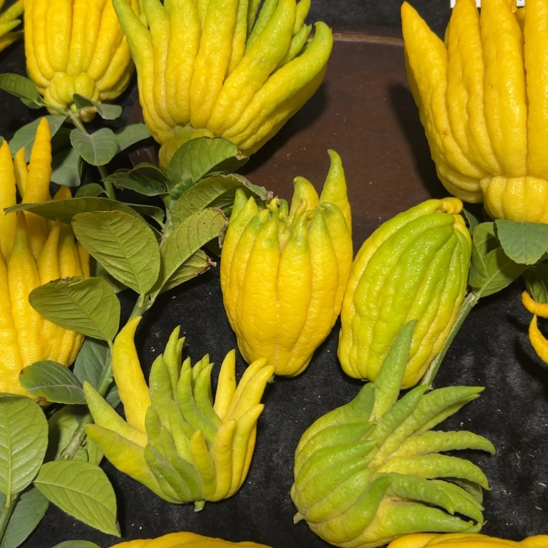 易***！完全开放九九九九