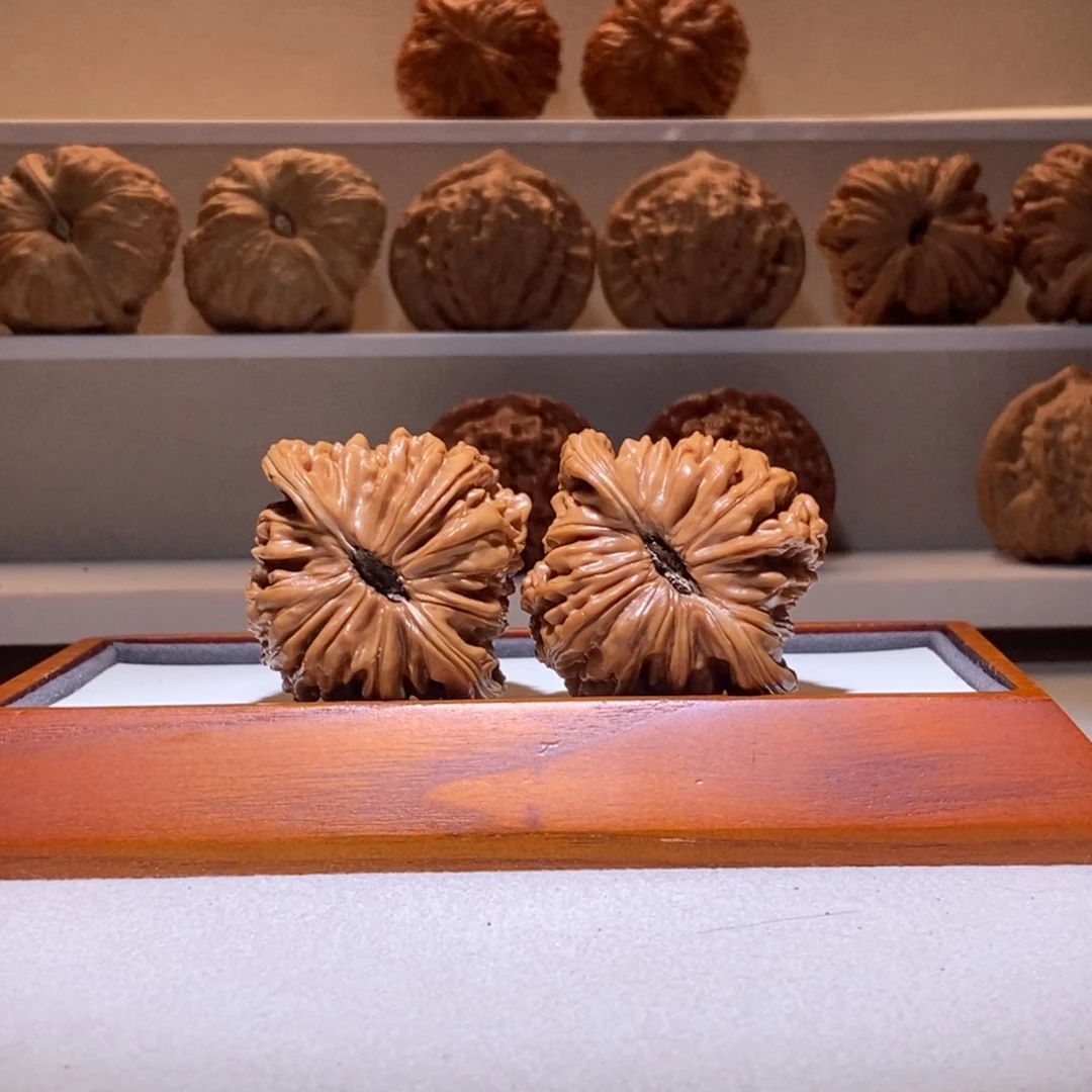 44四座楼菊花底精品