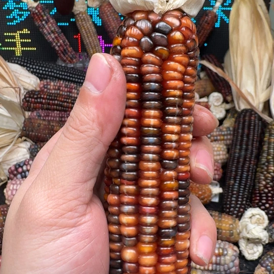 柏香籽/百香籽吊坠?****y