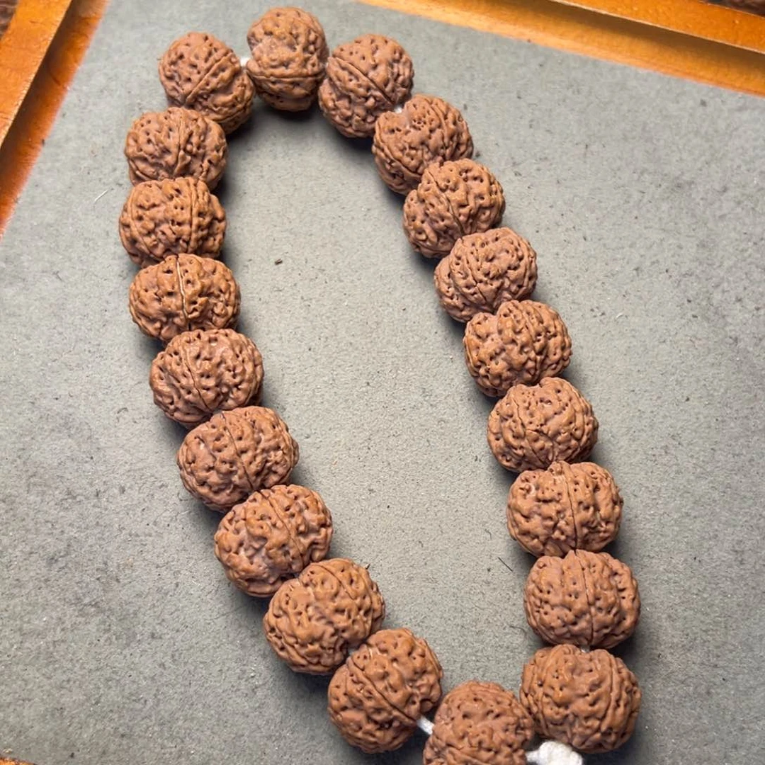 菩提9号金刚菩提安娜梅花手持21