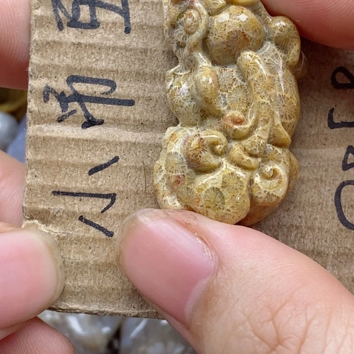 颈饰未镶嵌硅化珊瑚（珊瑚玉）乁****ㄏ