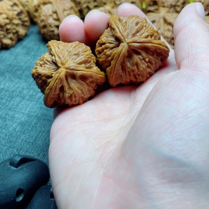 户***畏手工三棱白狮子三棱