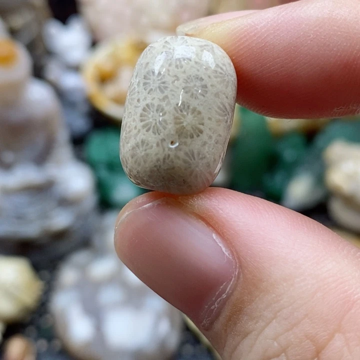 硅化珊瑚（珊瑚玉）颈饰未镶嵌桶珠有瑕