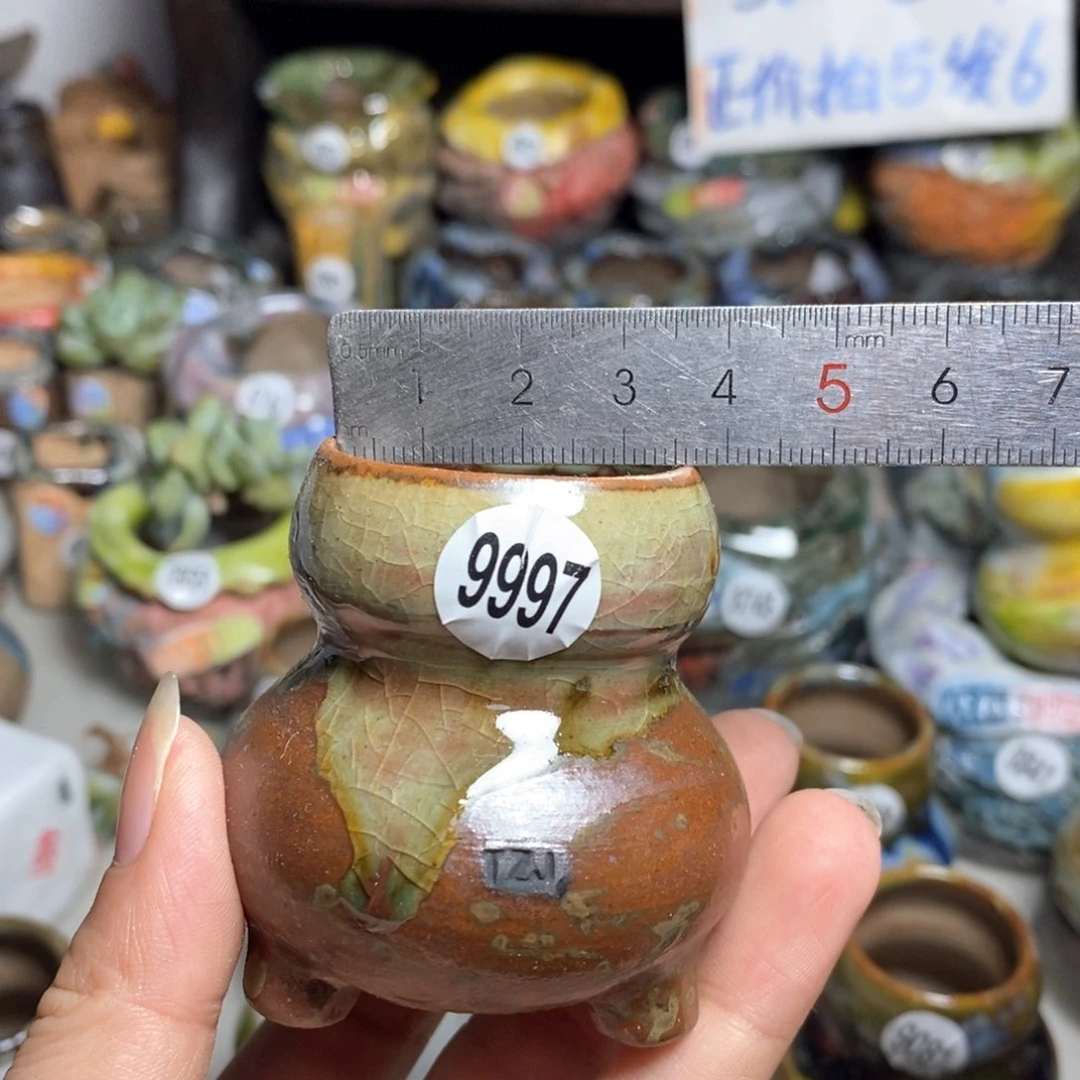 拍5送一个小礼物