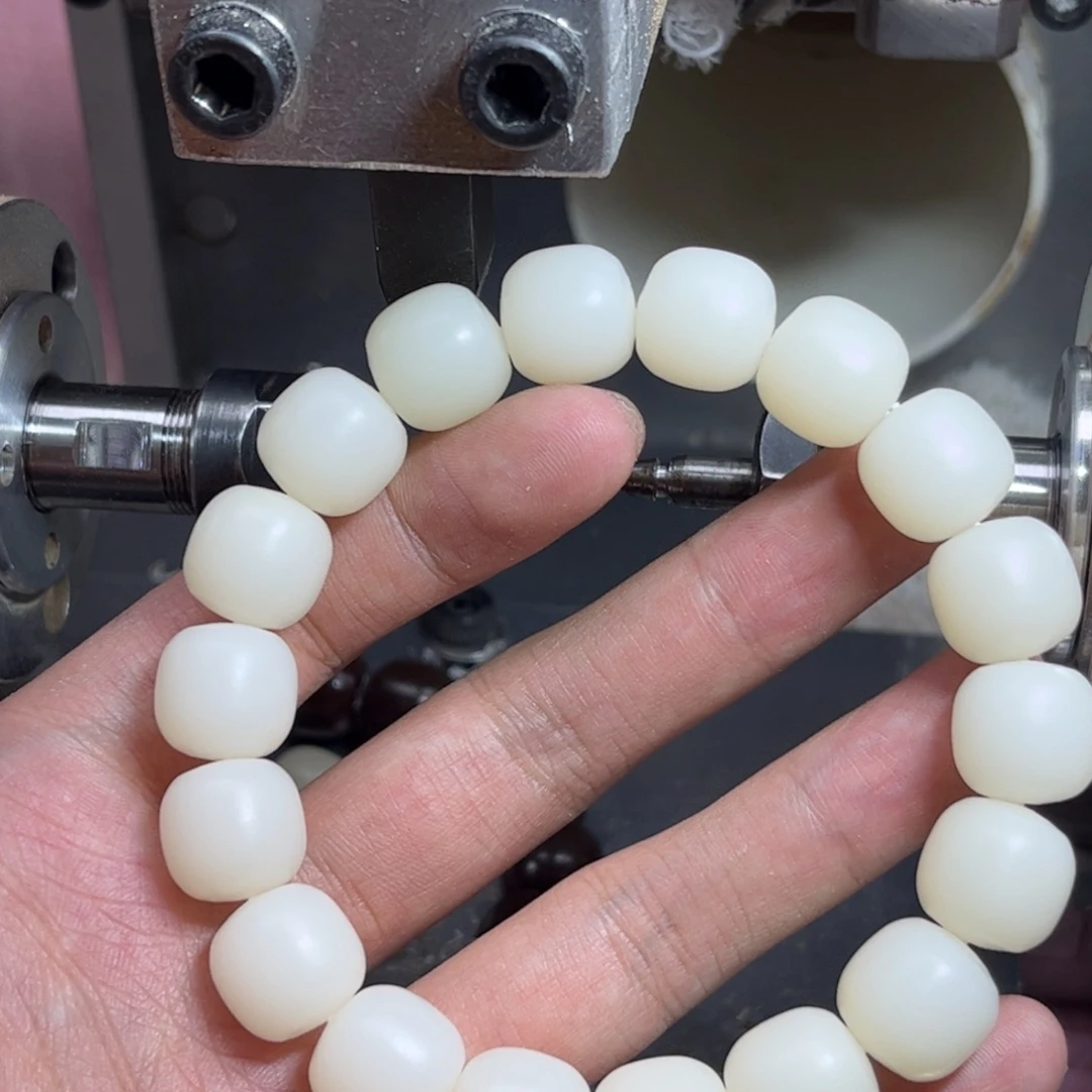 手串菩提根/象牙果