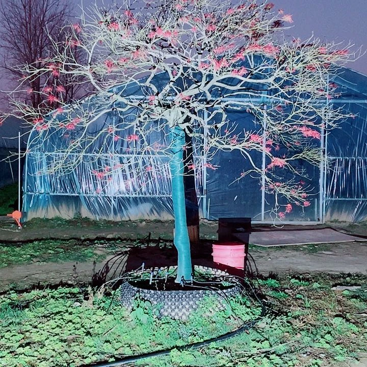 【闪购商品】完全开放