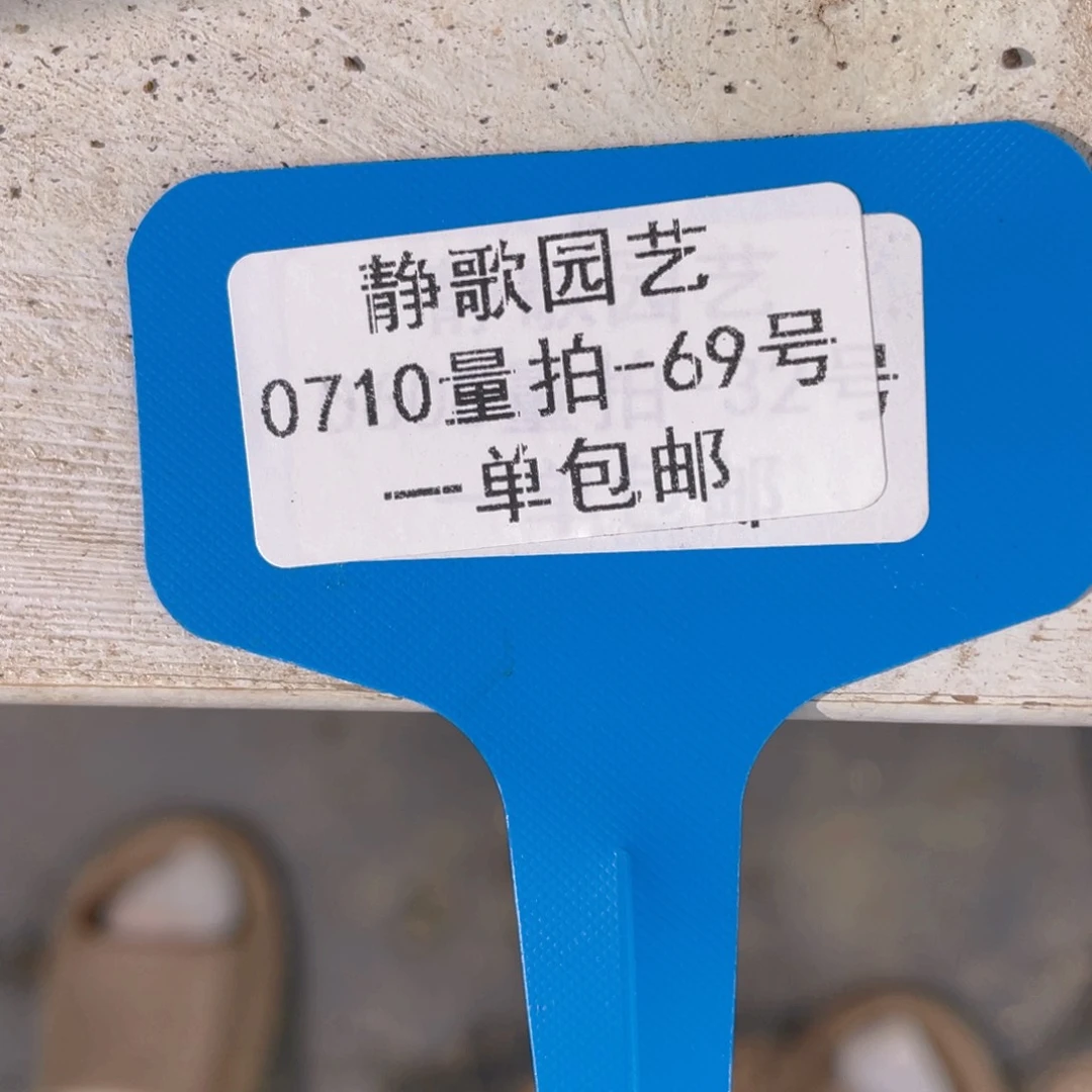 *****0710-69-赫菲斯托这一刻