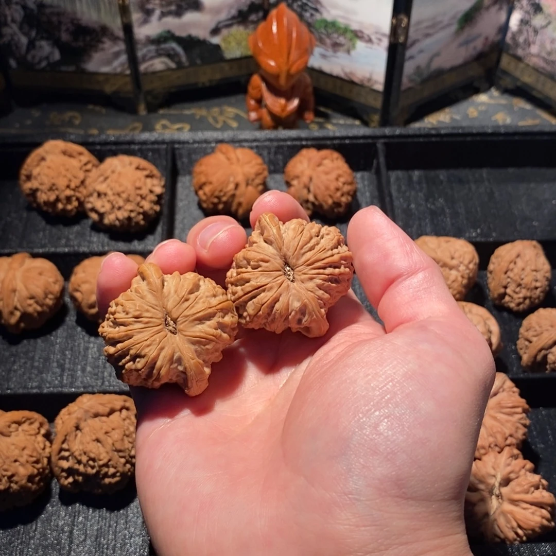 朝***雪大叶紫檀（黑酸枝木类）