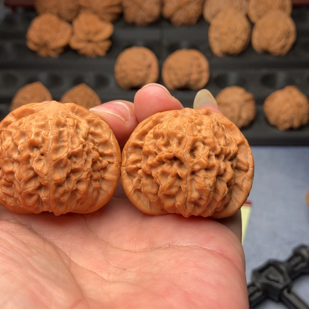 海***涛文玩核桃把件核王