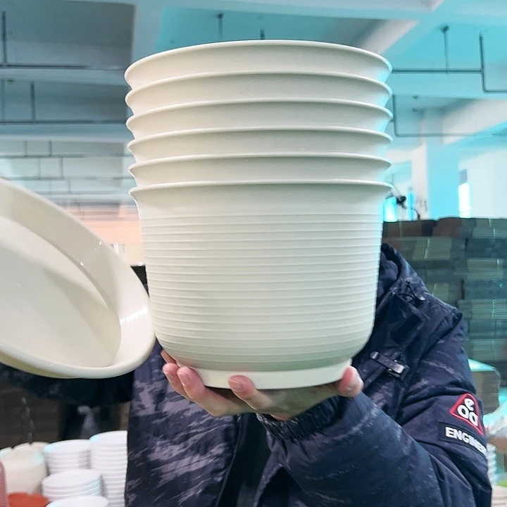 正品矮陶口23.6高17米色带托6只