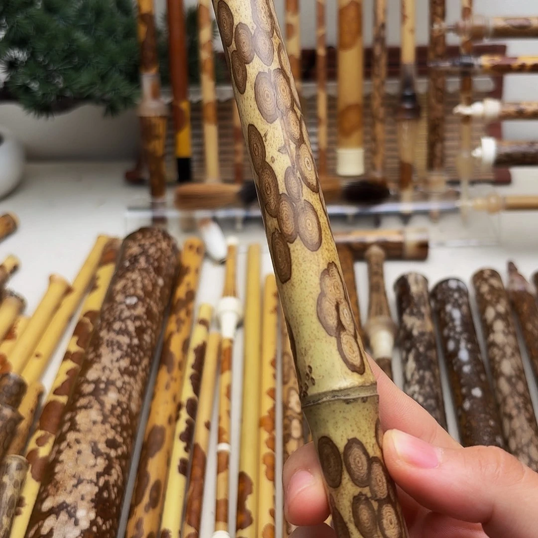 齐***飞重中之重生生世世生生世世