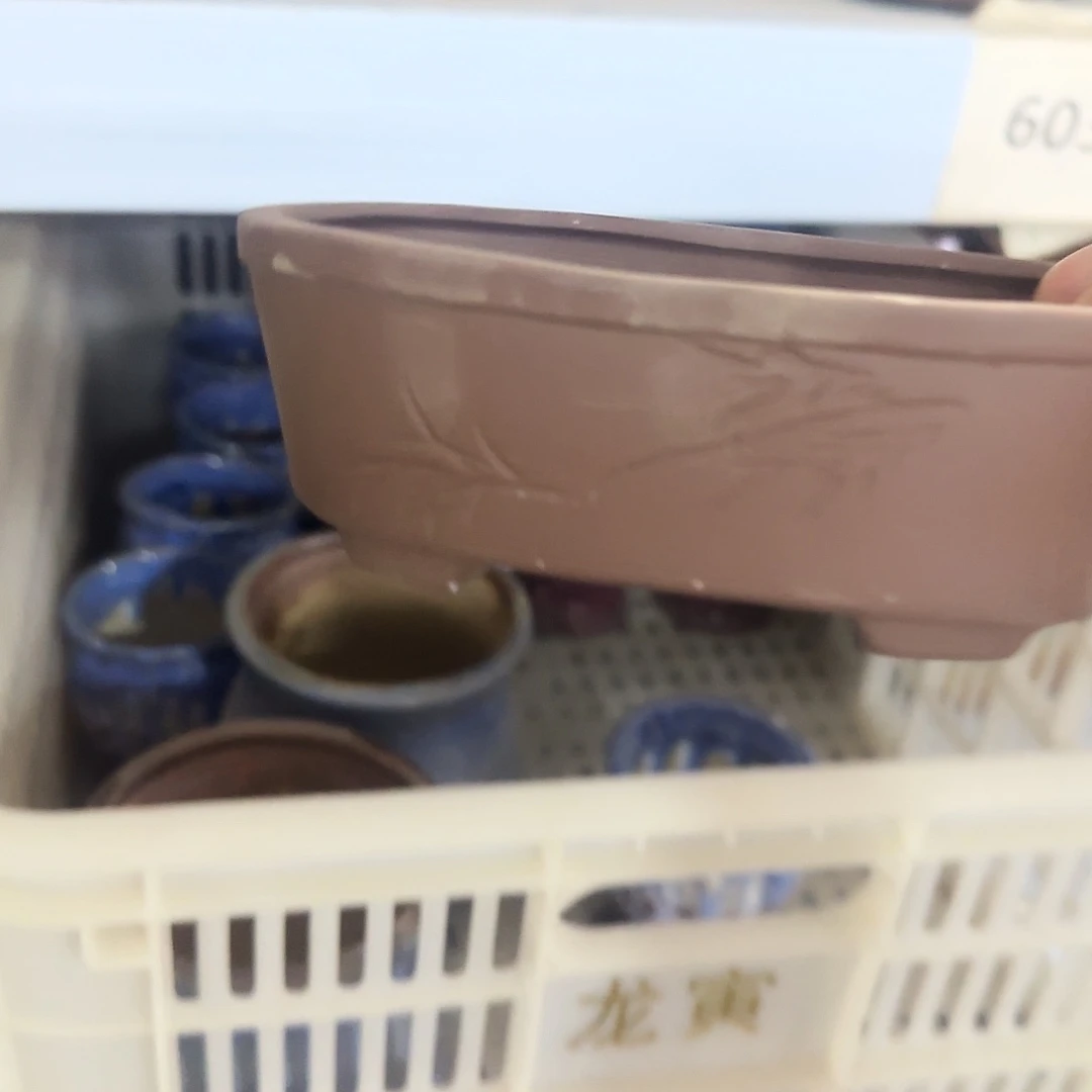··福利局·订单满9元合并发··6034