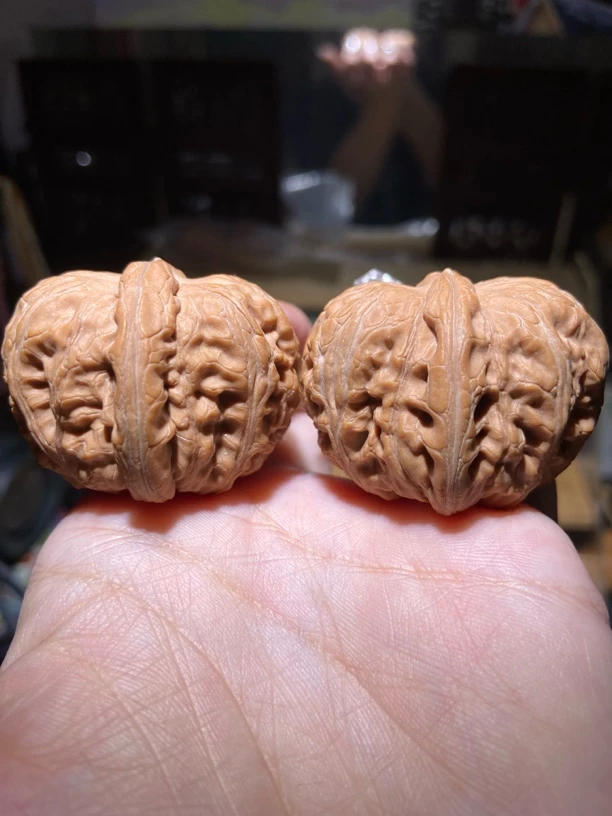 文玩核桃元宝 42边38边32高