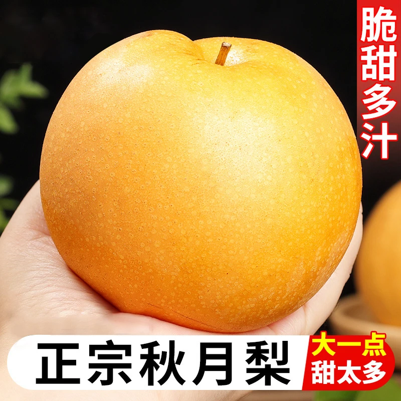 秋月梨新鲜现摘当季水果脆甜多汁皮薄肉厚