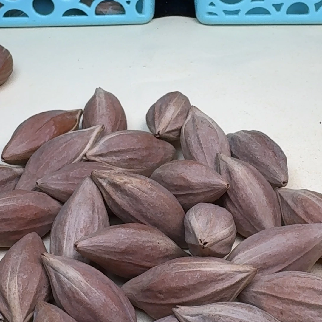 橄榄核手串/手链1