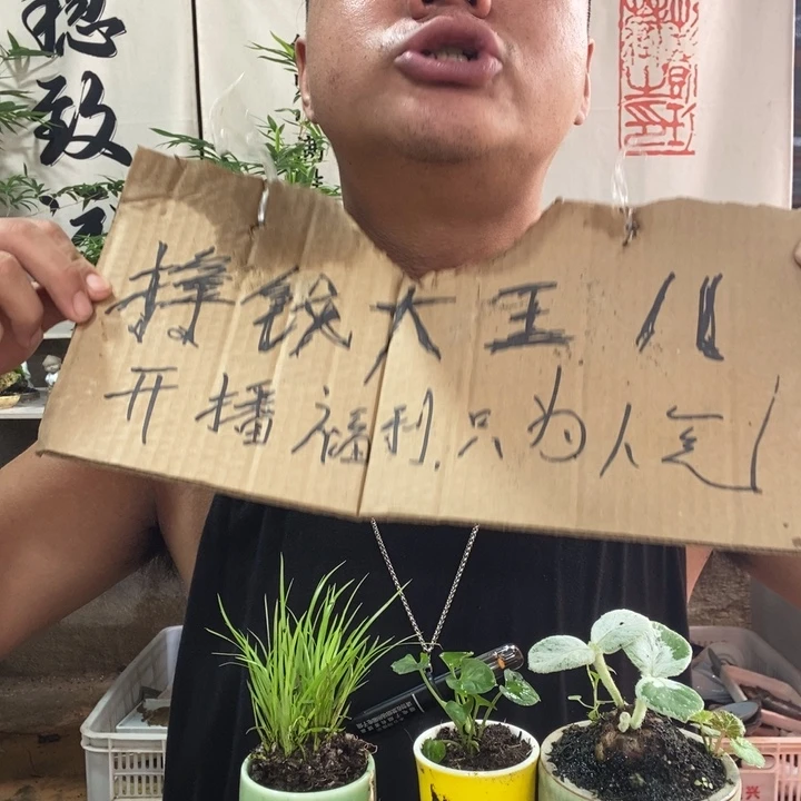 无花朵退款拉黑拉黑16