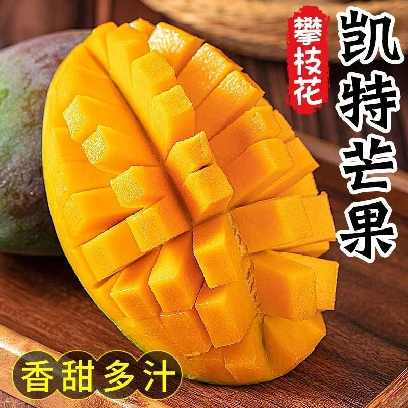 【坏果包赔】攀枝花凯特芒果当季新鲜孕妇水果