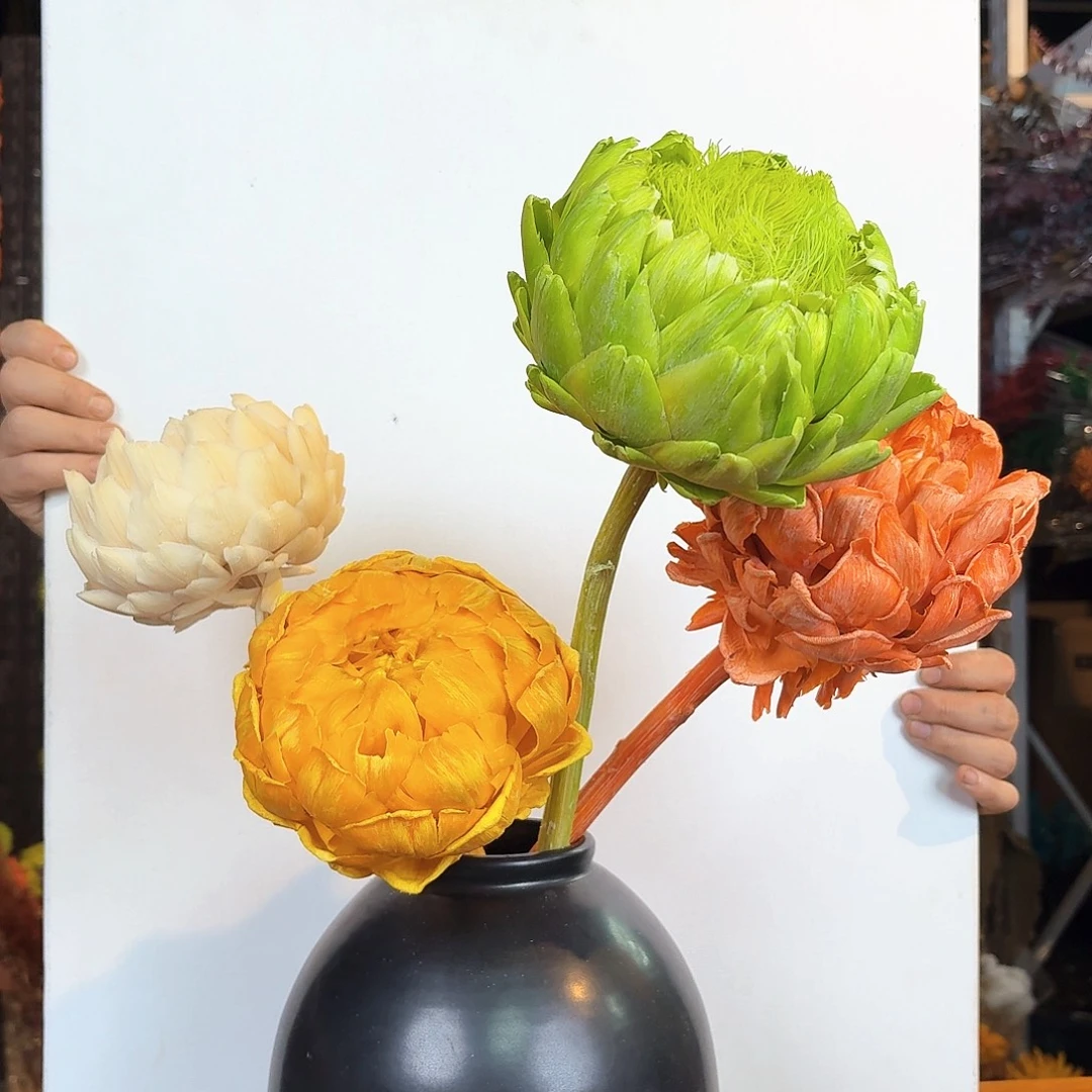 完全开放C15混色4枝