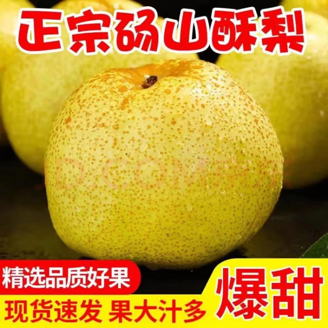 《烤梨专属》正宗砀山酥梨纯甜新鲜水果砀山梨酥脆烤梨专属