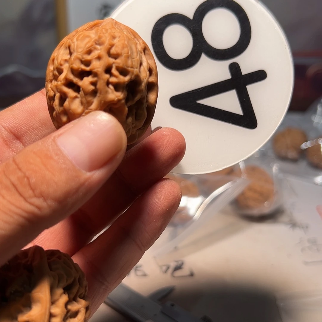 h***n文玩核桃，白色48号