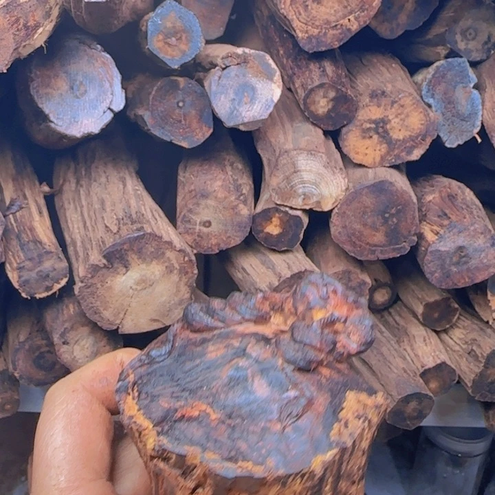 木王*元降真香开料直播间