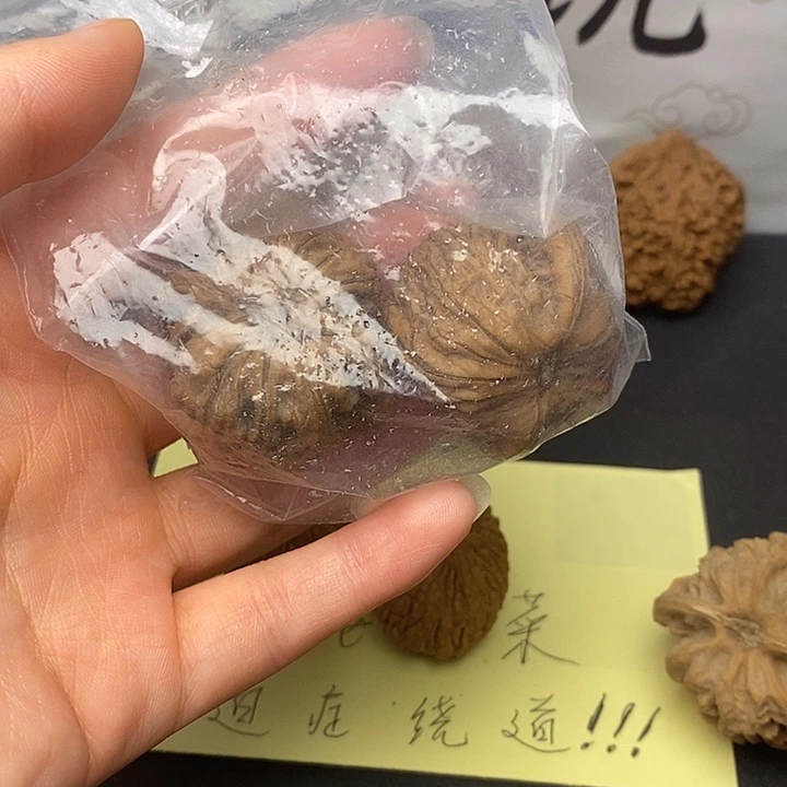 扳***子吊坠龙脊菩提37白狮子