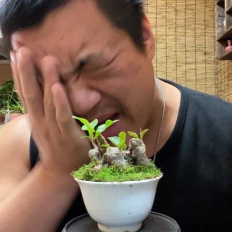 红陶萚*一物一拍所见即所得80