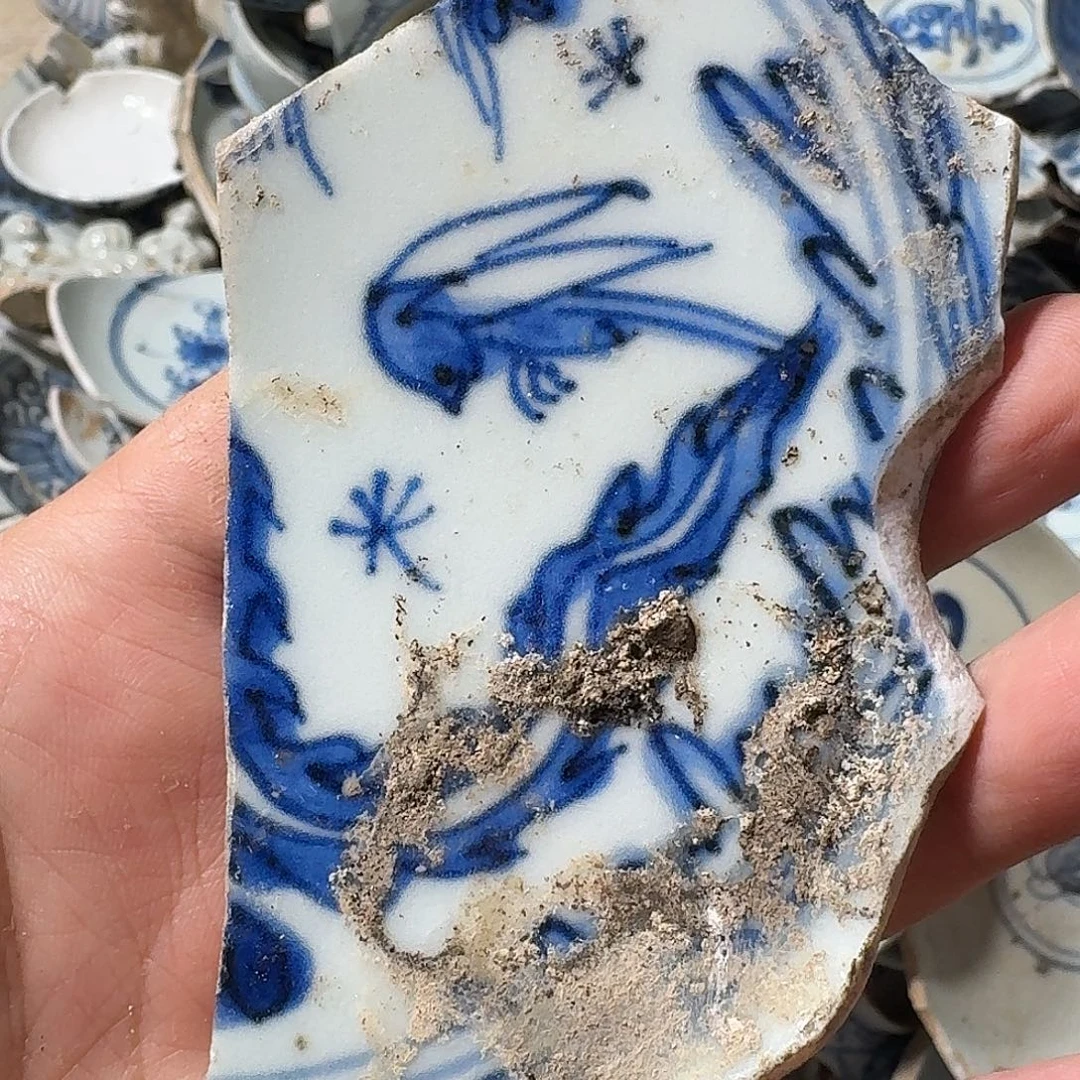 小***8瓷片瓷片标本，顺丰包邮