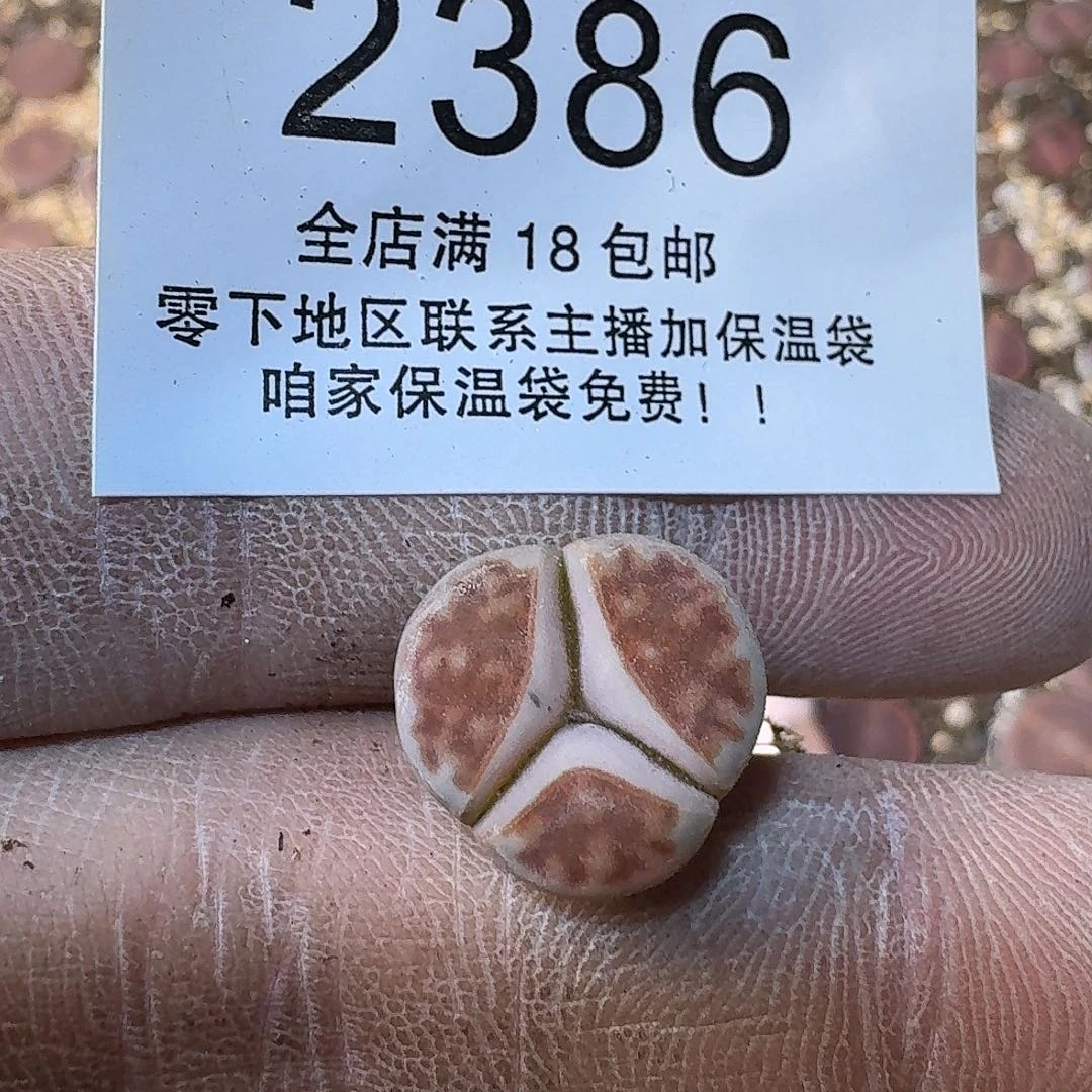 琳***宝2386 哈哈哈哈哈哈哈哈哈