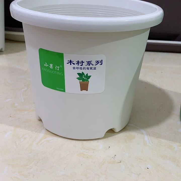 小果汀17口白5个无托