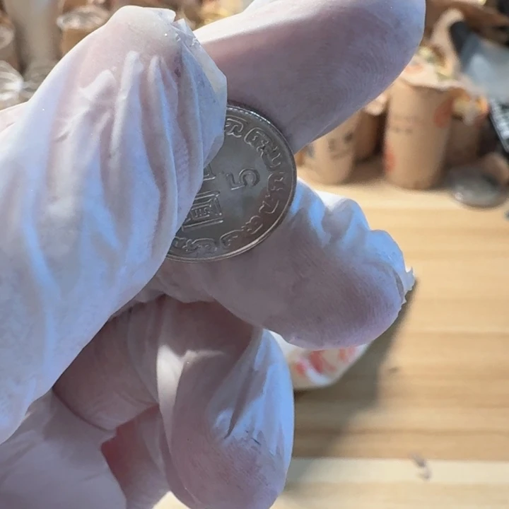 其他普通金属小5元币