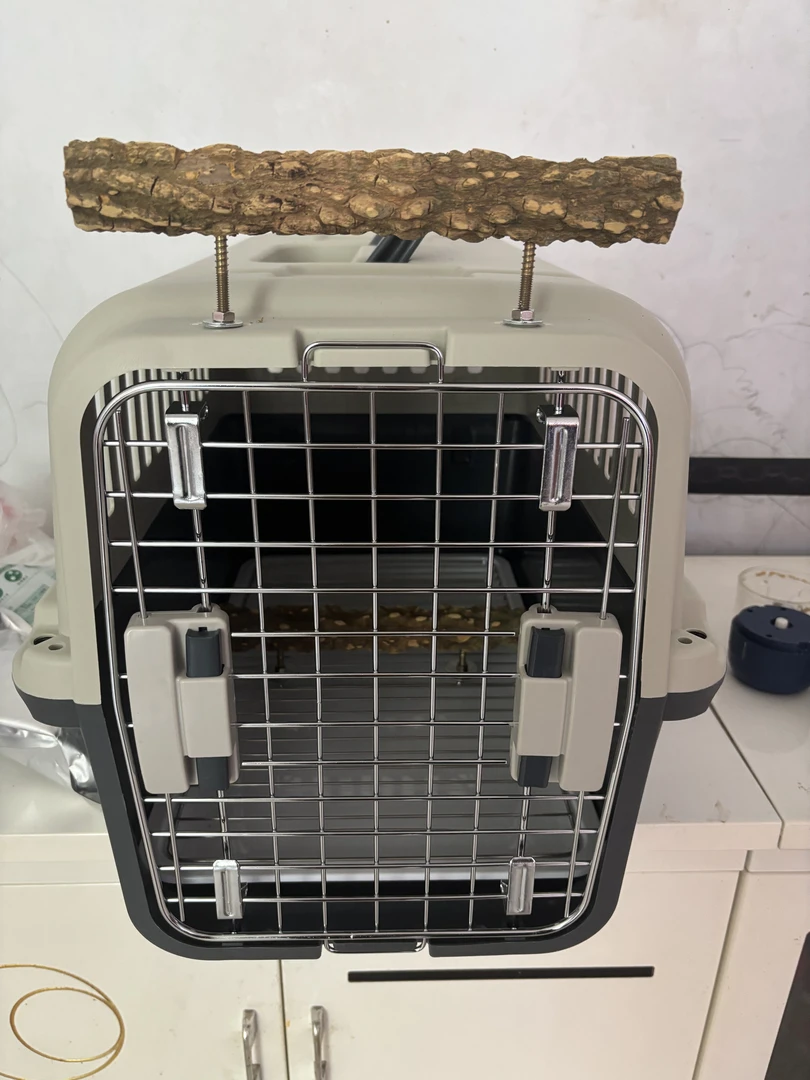 阿龙甄选秃鼻航空箱红嘴航空箱白颈航空箱外出类航空箱60✖️40✖️41