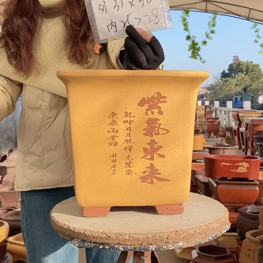 紫砂花盆紫砂花盆