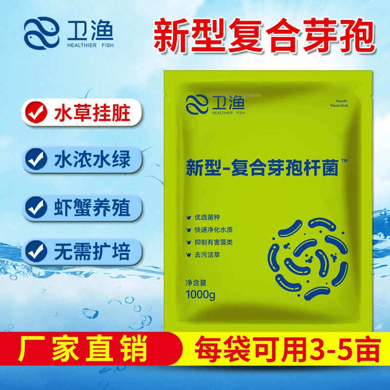 芽孢杆菌水产专用虾蟹塘高温水草挂脏的原因及处理办法厂家直销