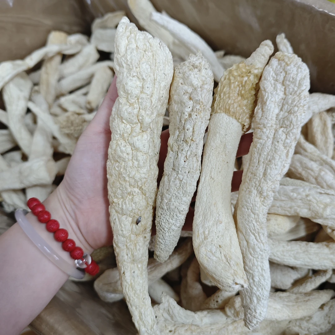 野 竹荪农产品100g