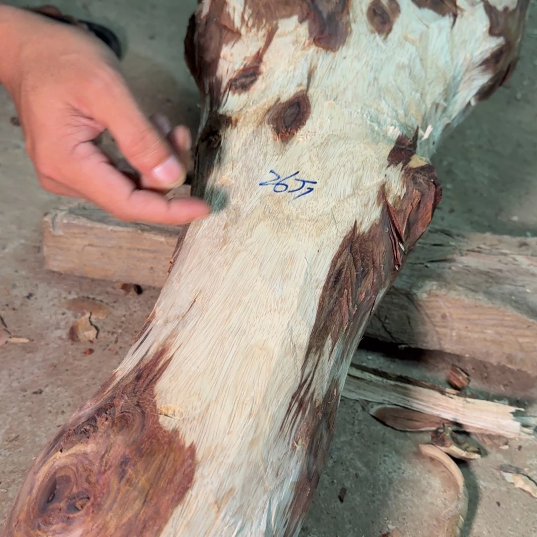 小***传海南，海北飞灰尘。甘受商于仪诳楚